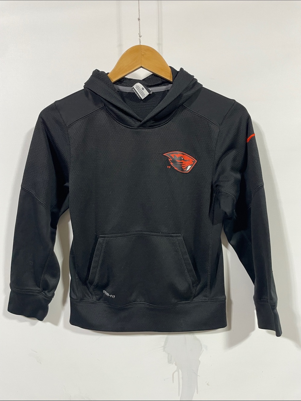 Nike Black Therma-FIT Hooded Pullover